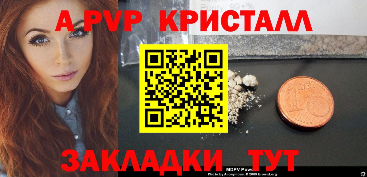 APVP СК Сургут