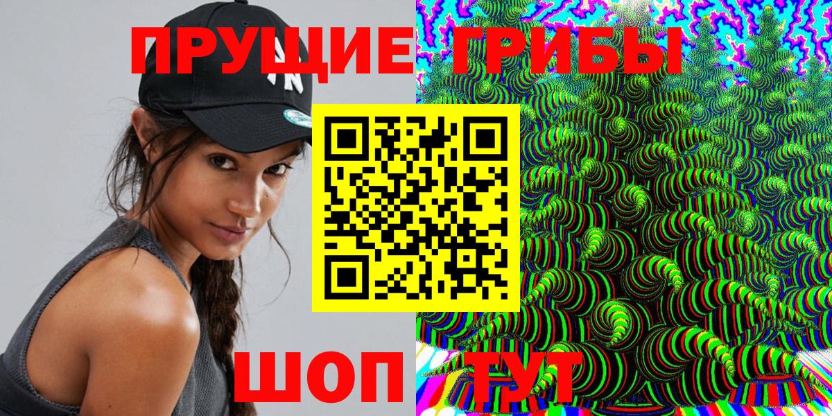 Галлюциногенные грибы ЛСД  продажа наркотиков  Сургут  Вход с VPN  Псилоцибиновые грибы Psilocybe 