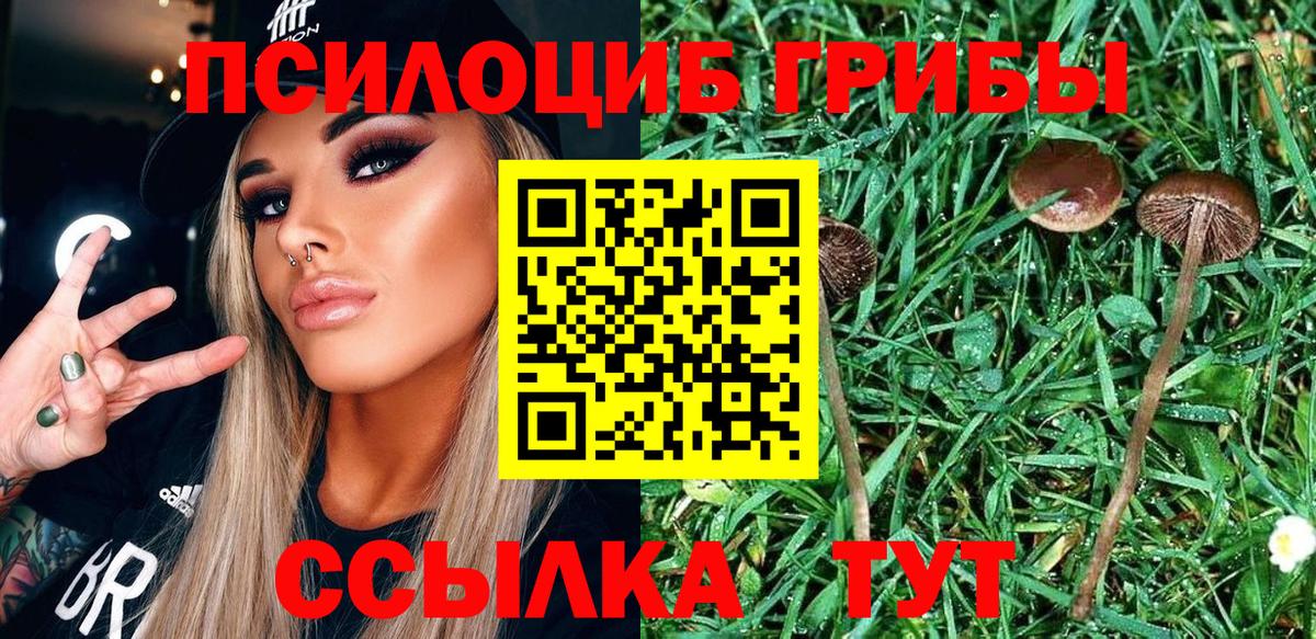 Псилоцибиновые грибы MAGIC MUSHROOMS Сургут